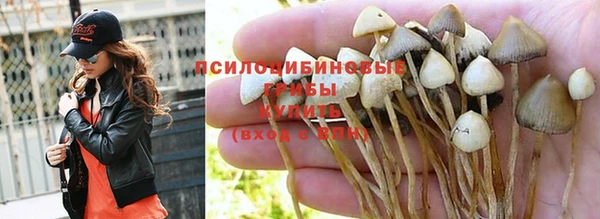 меф Нягань