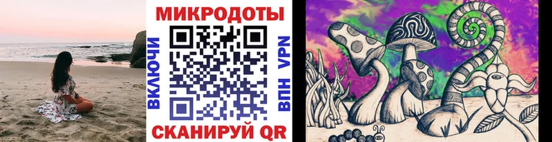Галлюциногенные грибы Cubensis  Купить  Катав-Ивановск 